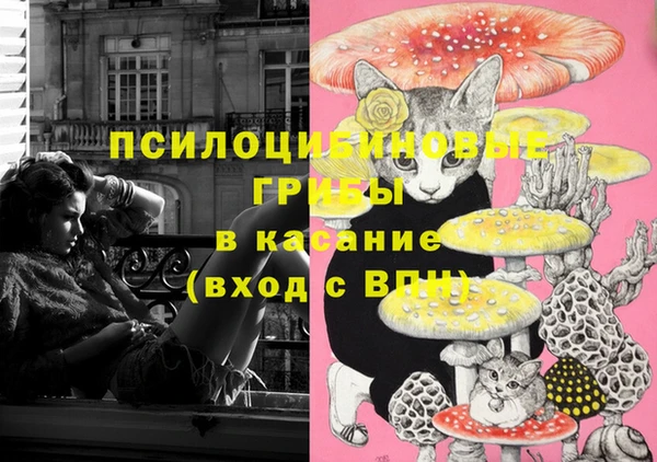 ALPHA-PVP Армянск
